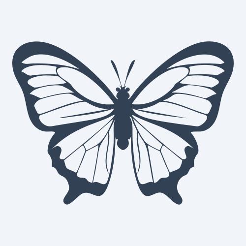 a butterfly vector