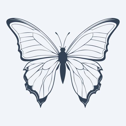 a butterfly vector