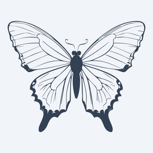 a butterfly vector