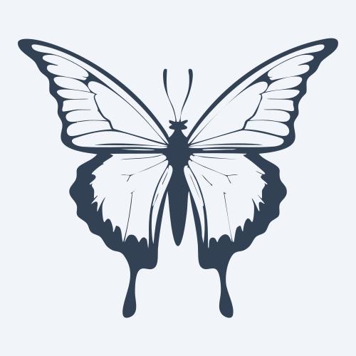 a butterfly vector