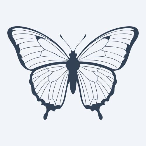 a butterfly vector