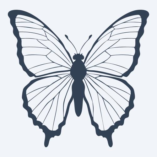 a butterfly vector