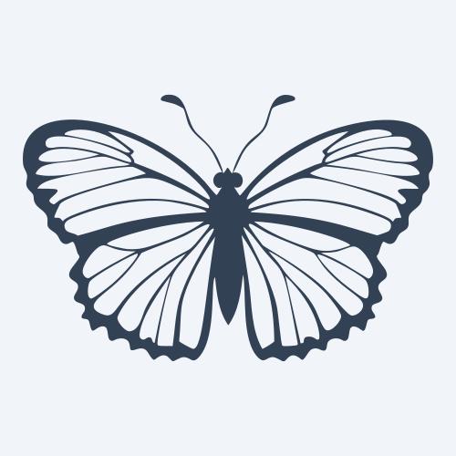 a butterfly vector