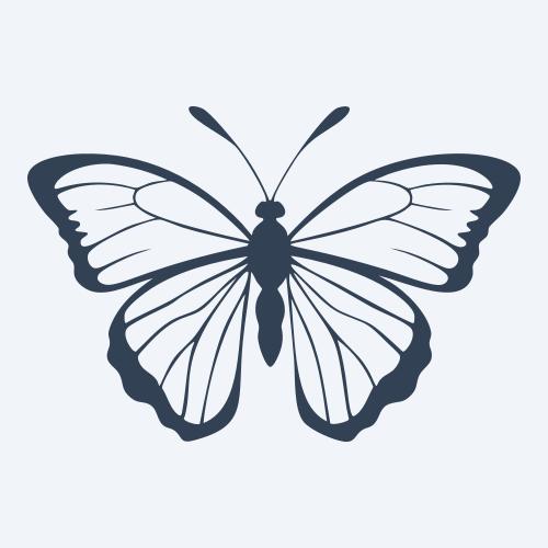 a butterfly vector