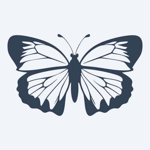 a butterfly vector