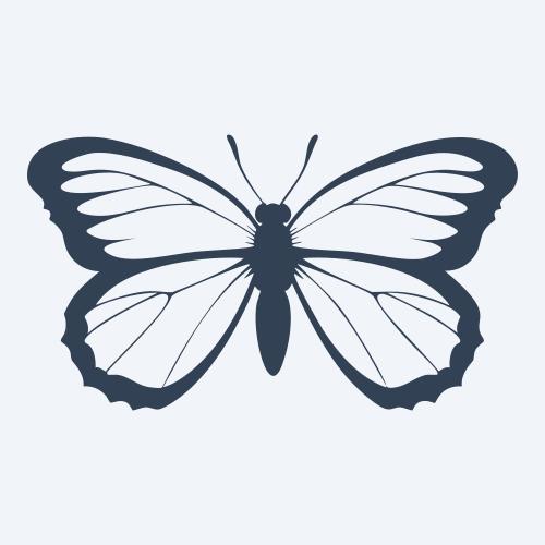 a butterfly vector