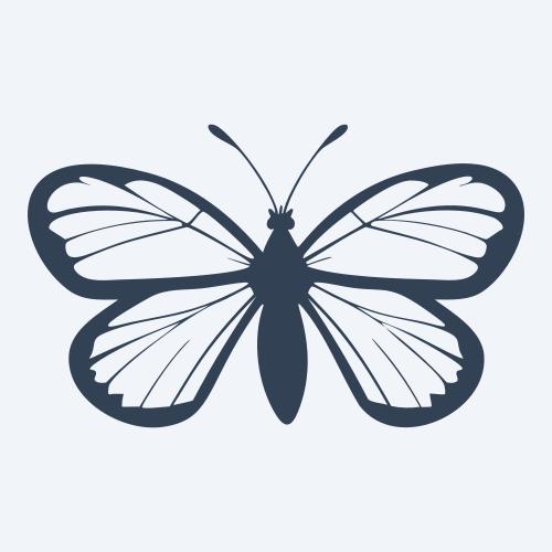 a butterfly vector