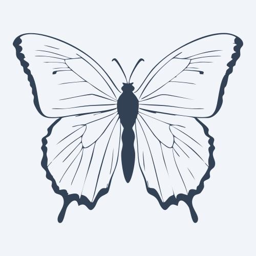a butterfly vector