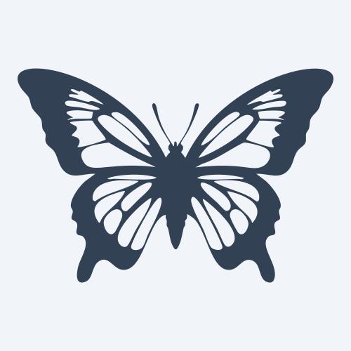 a butterfly vector