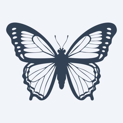 a butterfly vector