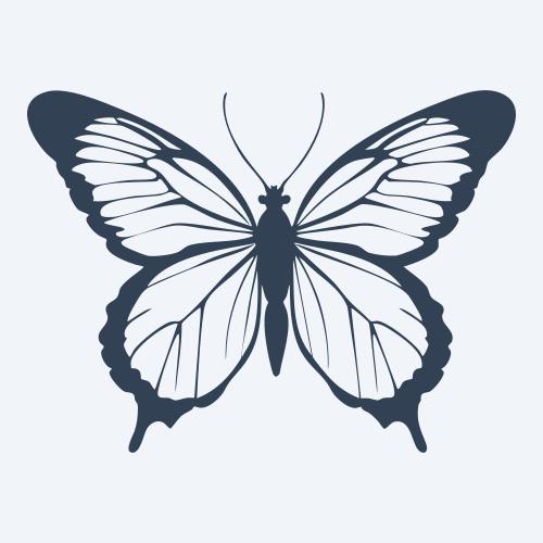 a butterfly vector