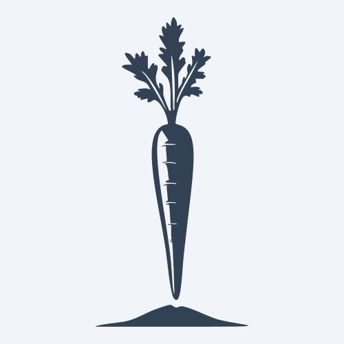 a carrot graphic