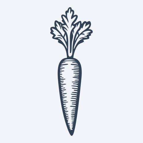 a carrot graphic