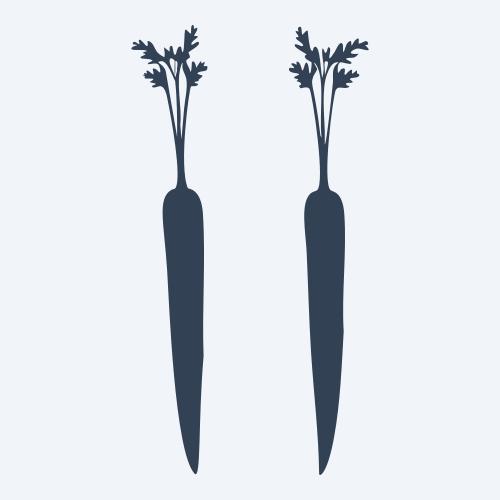 a carrot graphic