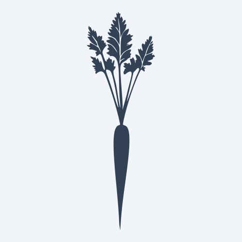 a carrot graphic