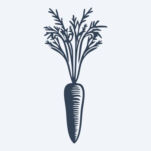 a carrot graphic