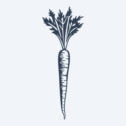 a carrot graphic