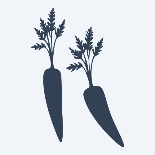 a carrot graphic