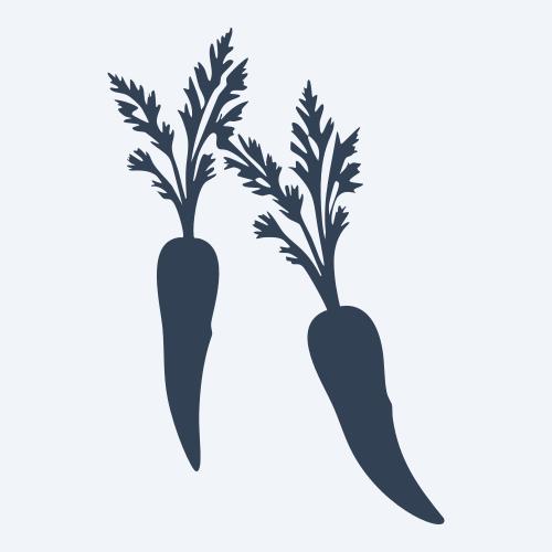 a carrot graphic