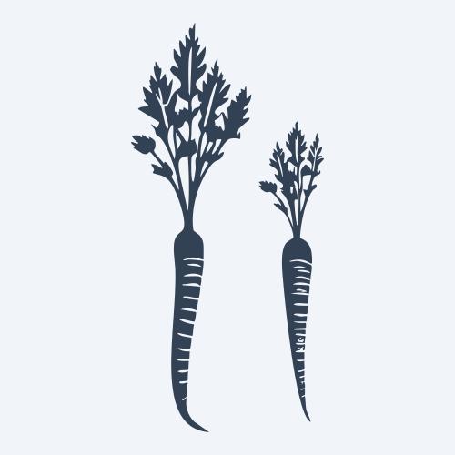 a carrot graphic