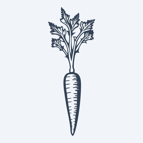 a carrot graphic