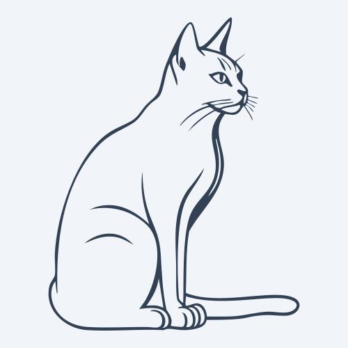 a cat graphic