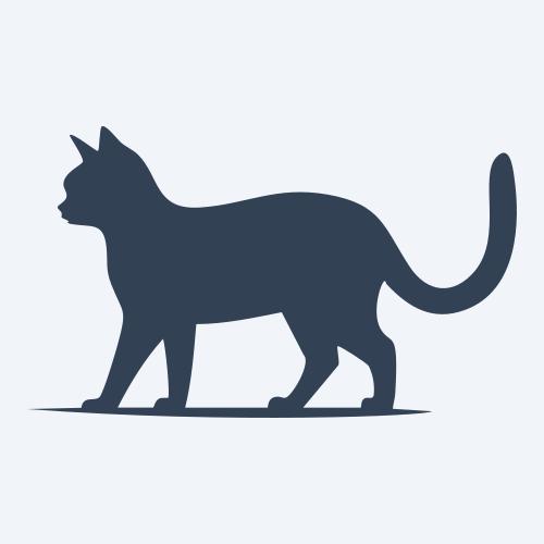 a cat graphic