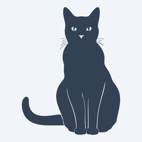 a cat graphic
