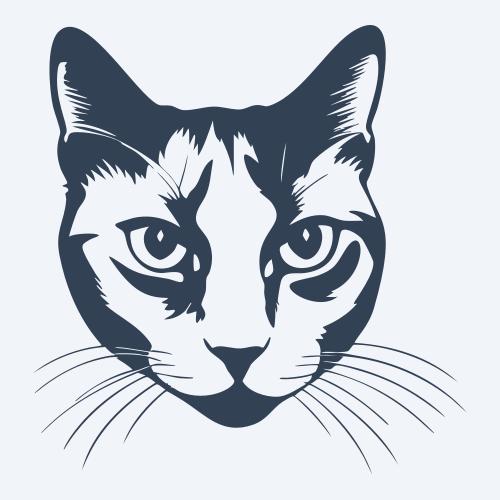 a cat graphic