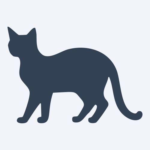 a cat graphic