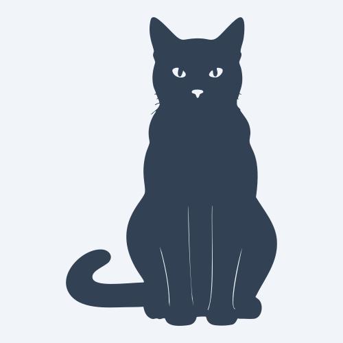 a cat graphic