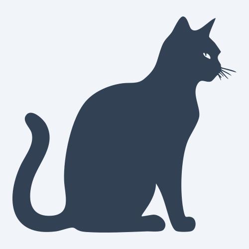 a cat graphic