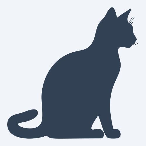 a cat graphic