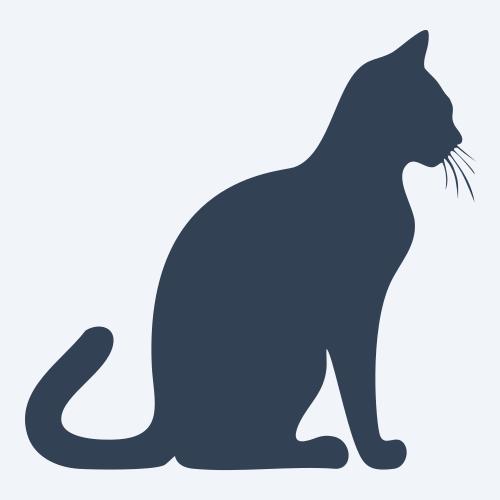 a cat graphic