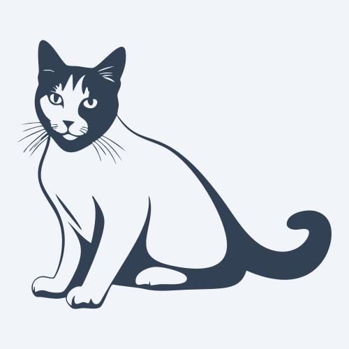 a cat graphic