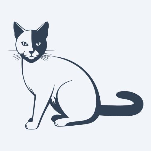 a cat graphic