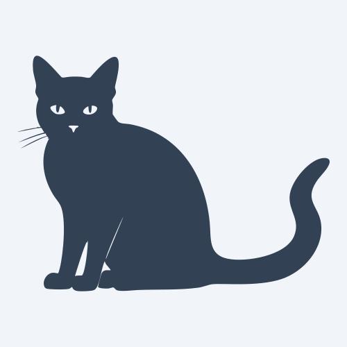 a cat graphic