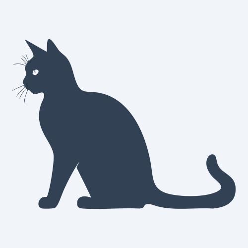 a cat graphic