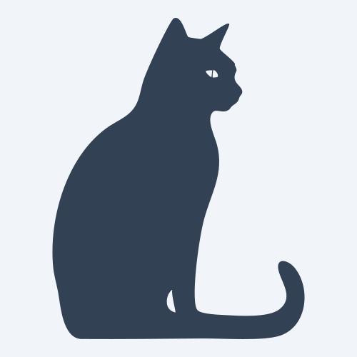a cat graphic