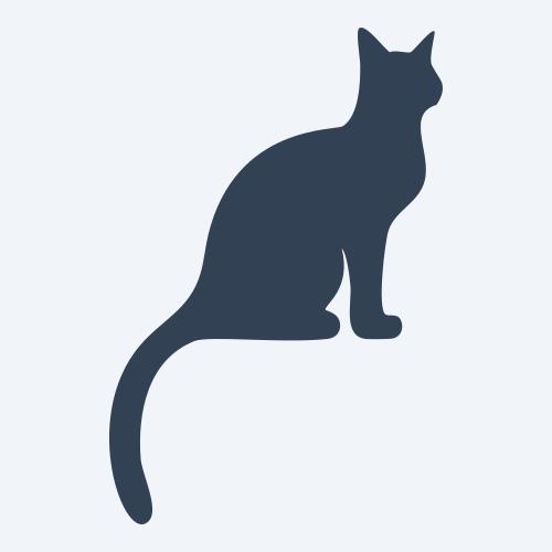 a cat graphic