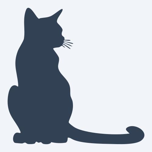 a cat graphic