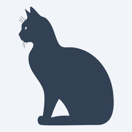a cat graphic