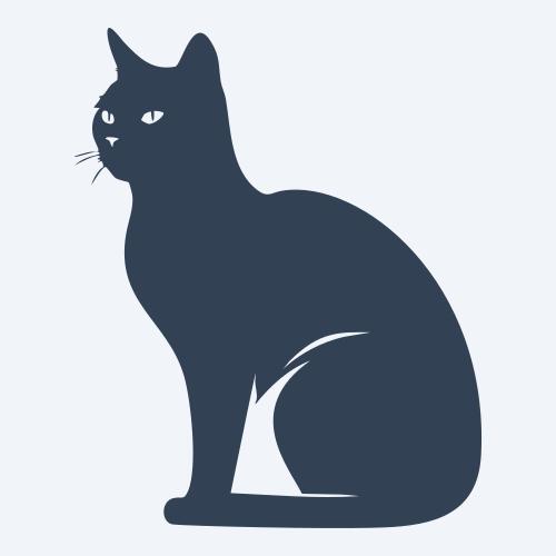 a cat graphic