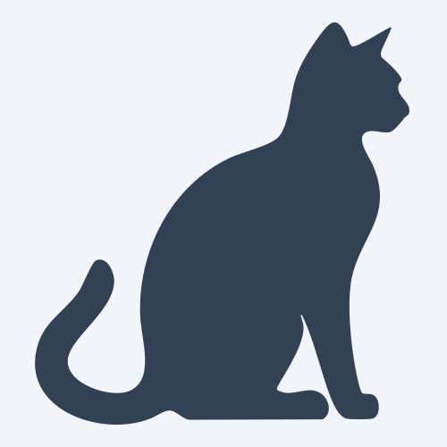 a cat graphic