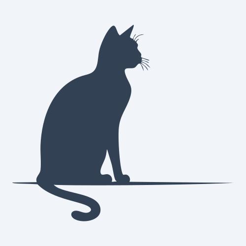 a cat graphic