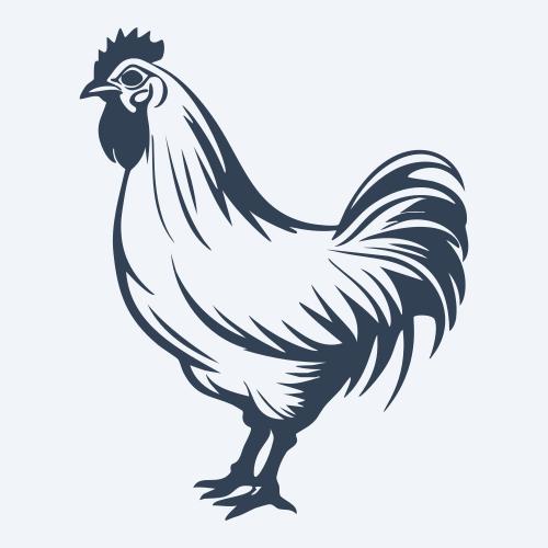 a chicken graphic