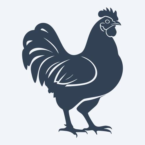 a chicken graphic