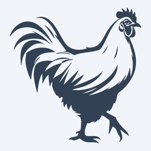 a chicken graphic