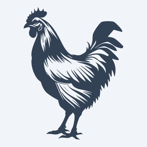 a chicken graphic