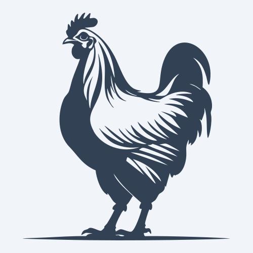 a chicken graphic